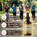 sarsaparilla-liquid-extract-smilax-offic-4.jpg