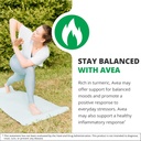nutramedix-avea-turmeric-extract---liqui-3.jpg