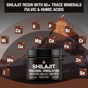 shilajit-pure-himalayan-organic-shilajit-6.jpg