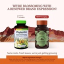 herbs-etc-phytocillin---respiratory-dige-2.jpg