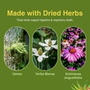herbs-etc-phytocillin---respiratory-dige-6.jpg