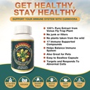 carnivora-vegi-caps-turmeric-combo---imm-2.jpg