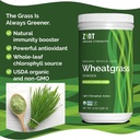 zint-wheatgrass-powder-organic-8-oz-powe-3.jpg