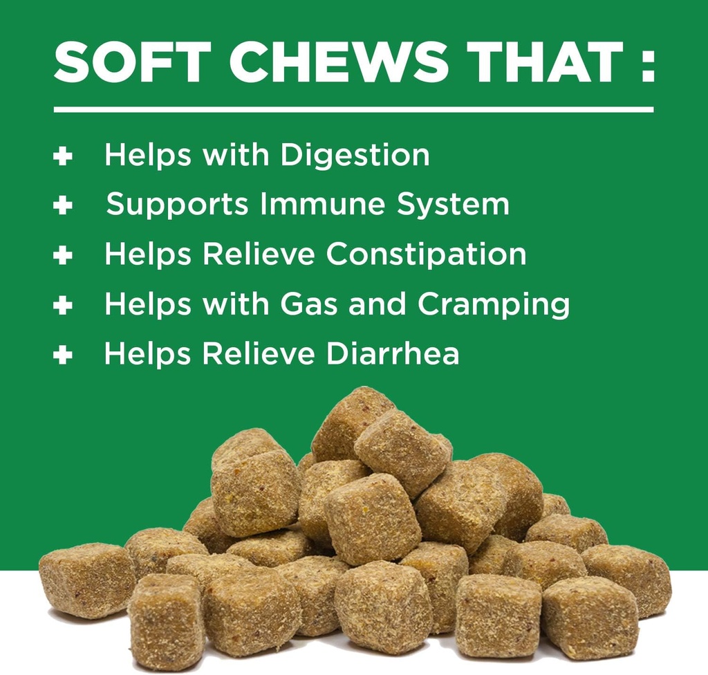 digestive-supplement-for-dogs---recommen-2.jpg