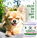 digestive-supplement-for-dogs---recommen-3.jpg