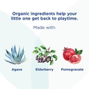 hylands-naturals---baby---organic-cough--6.jpg