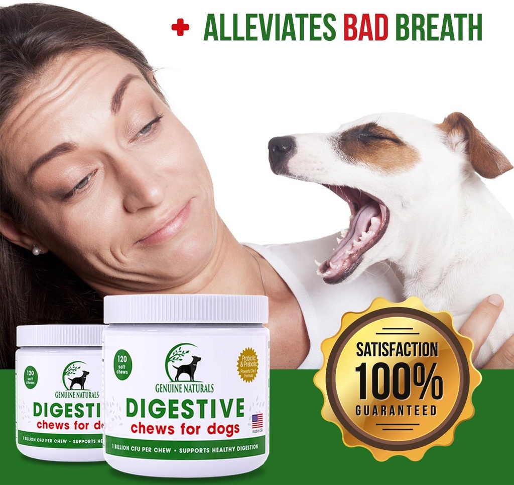 digestive-supplement-for-dogs---recommen-5.jpg