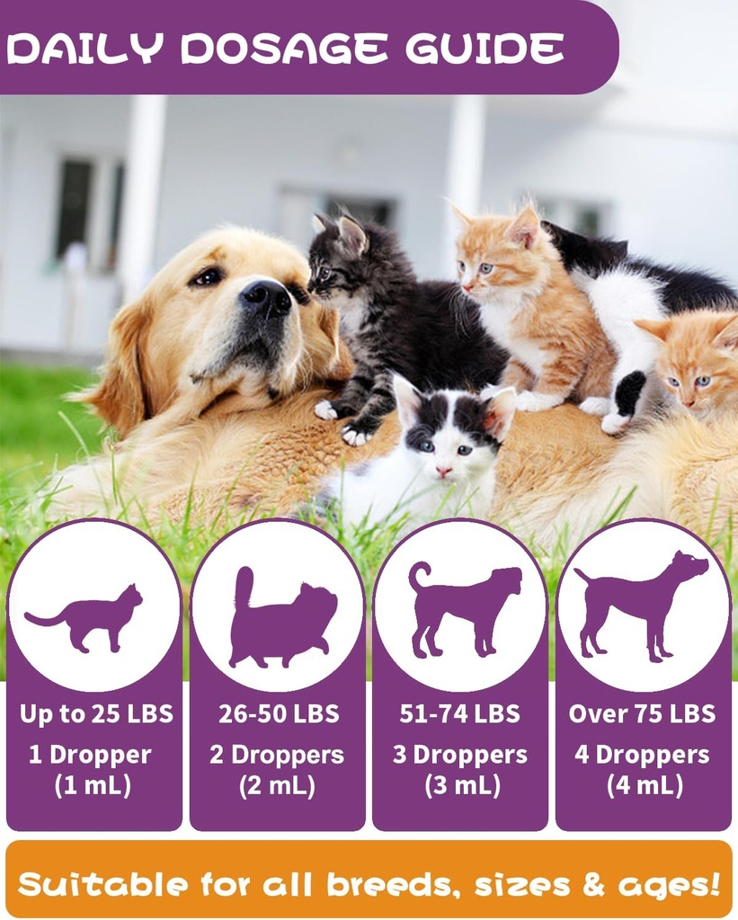 cat-dog-urinary-tract-infection-treatmen-5.jpg