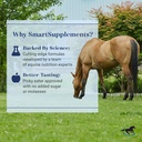 smartdigest-digestive-health-supplement--6.jpg