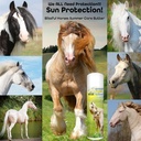 the-blissful-horses-summer-care-sun-butt-4.jpg