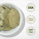 evergreen-herbs-eucalipto-eucalyptus-lea-4.jpg