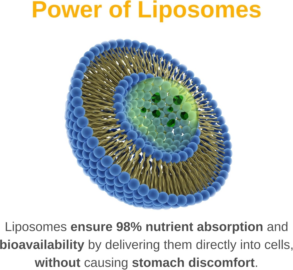 liposomal-mens-liquid-multivitamin-drops-3.jpg