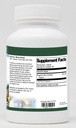 mugwort-herb-artemisia-vulgaris-certifie-2.jpg