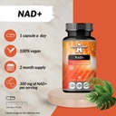 apollos-hegemony-nad-300-mg---coenzymati-3.jpg
