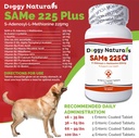 sam-e-225-mg-samelq-liver-support-s-aden-2.jpg