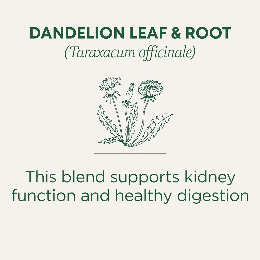 traditional-medicinals-tea-organic-dande-3.jpg