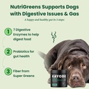 canine-nutrigreens---natural-dog-vitamin-4.jpg