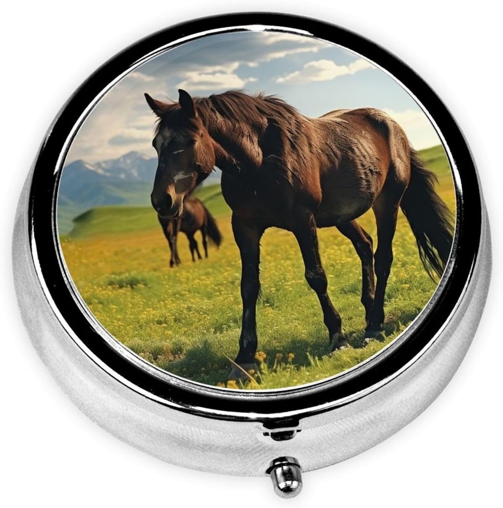 pill-case-pill-box-with-mirror-small-pil-2.jpg