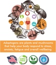 immunity-mushroom-complex---reishi-lions-4.jpg
