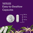 trans-resveratrol-highly-purified-bioava-4.jpg