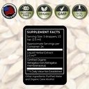zenmen-astragalus-root-organic-tincture--4.jpg