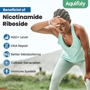 liposomal-nicotinamide-riboside-suppleme-6.jpg