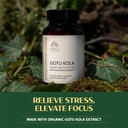 kerala-ayurveda-centella-asiatica-capsul-2.jpg