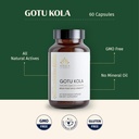 kerala-ayurveda-centella-asiatica-capsul-3.jpg