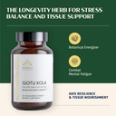 kerala-ayurveda-centella-asiatica-capsul-4.jpg