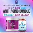 afa-stem-cell-supplements-500mg-berry-co-2.jpg