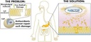 vitamin-and-mineral-propax-gold-with-ntf-5.jpg
