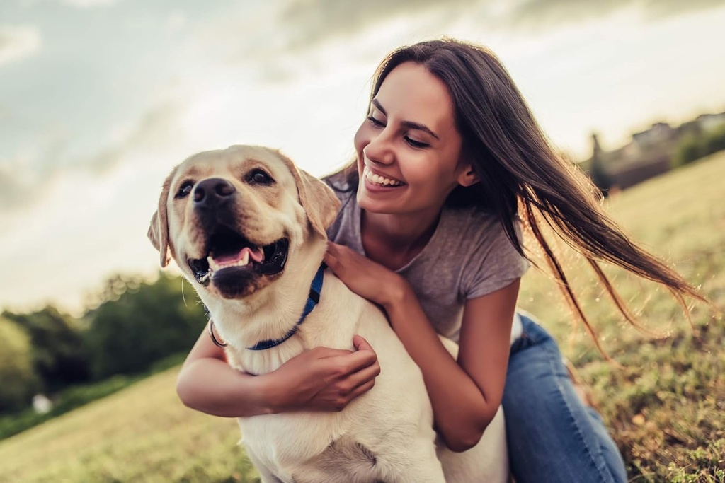 dog-urinary-incontinence---dog-urinary-t-2.jpg