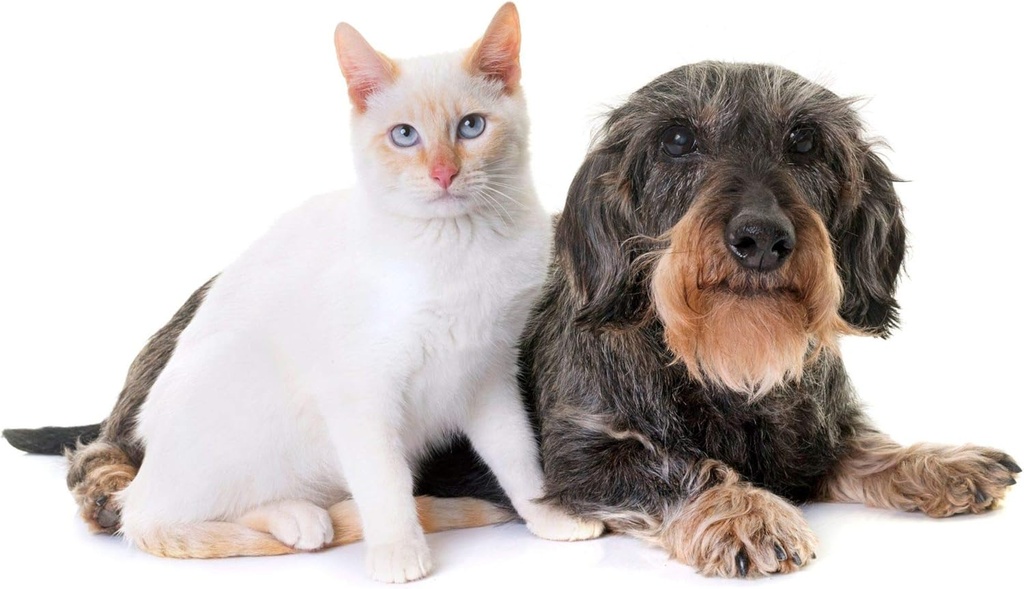 dog-bladder-care---pets-urinary-health-c-3.jpg