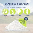 Spoonful Collagen Peptide Powder, Type I & III, Hydrolyzed Grass Fed Bovine, Unflavored, Non-GMO Gluten-Free for Healthy Hair Nail Skin and Joint Support [16 oz] 3