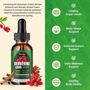 Berberine HCL Liquid Drops - 1500 mg Berberine Supplement with Ceylon Cinnamon, Chromium, Turmeric, Niacinamide - Supports Metabolism and Immune System, Gut Health - 2 FL Oz Vegan 4