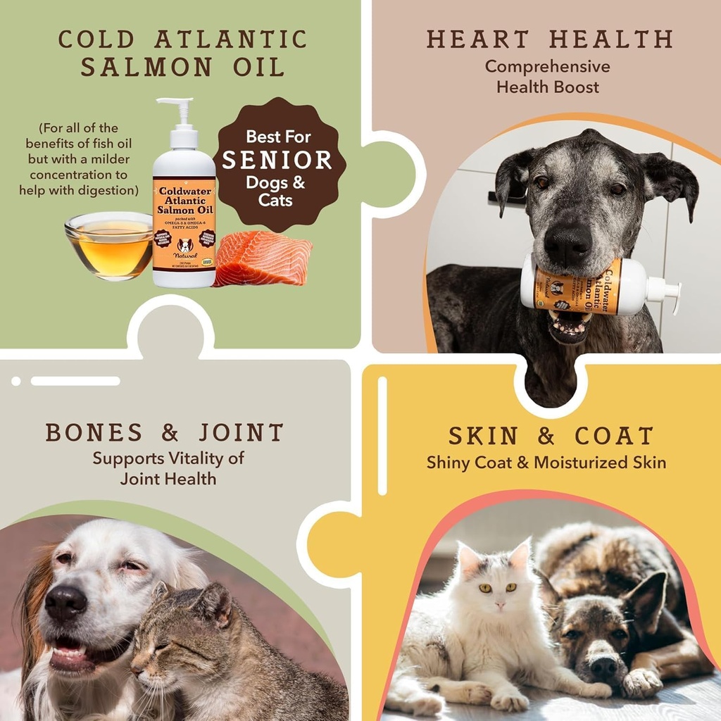Natural Dog Company Coldwater Atlantic Salmon for Dogs 2 Pack -16oz - Senior Dog Fish Oil Supplement with Omega 3, Easy to Digest, Joint Support, for Multi Dog Famillies, Large Breed Dogs 6