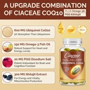 Ubiquinol CoQ10 600 MG Softgels with Omega-3 & Shilajit & PQQ, Advanced Dual-Delivery Coenzyme-Q10, Active CoQ10 Ubiquinol Supplement for Fertility, Antioxidant, Heart, Brain & Energy, 120 Servings 6