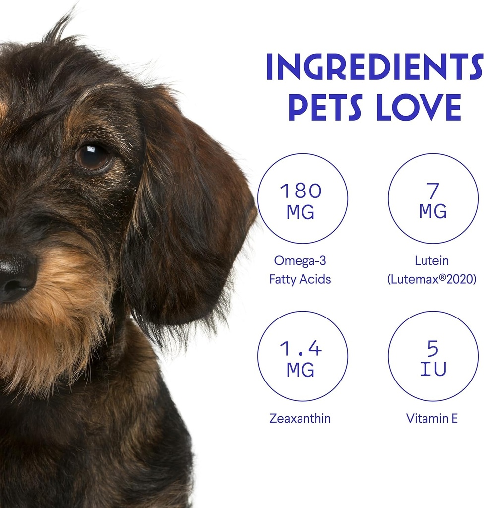 Premium Eye Supplement For Dogs – Tear Stain Supplement For Dogs, Eyes, Vision & Macular Health - Eye Support for Dogs with Lutein, Zeaxanthin, Astaxanthin & Omegas - All Ages, Sizes & Breeds – 2oz 6