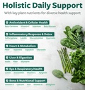 Super Greens Antioxidants Superfoods 2250mg Supplement - 20 Ingredients with Sprouts, Mushrooms, Roots, Garlic, Bitter Melon, Artichoke, Celery Seed, Cayenne pepper, Alfalfa NON GMO - 60 Capsules 4