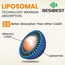 1000mg Liposomal CoQ10 Ubiquinol, 240 Vegan Softgels, High Absorption Ubiquinol CoQ10 Supplement, Active Antioxidant Form of Coenzyme Q10 for Heart Function & Energy Production 6