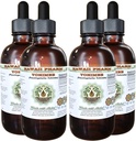 Hawaii Pharm Yohimbe Alcohol-Free Liquid Extract, Yohimbe Liquid (Pausinystalia Yohimbe) Dried Bark Glycerite Natural Herbal Supplement, USA 4x4 fl.oz 2