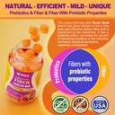 NEVISS Sugar Free Prebiotic Fiber Gummies 120 Counts + Lutein Gummies 60 Counts 5