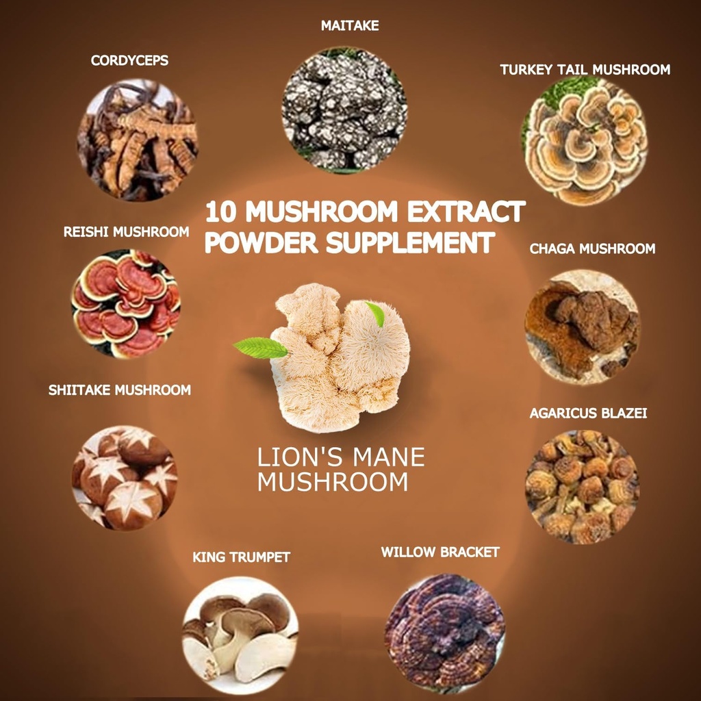 Mushroom Coffee, 10 Mushroom Extract Powder Blend Lion's Mane, Reishi, Chaga, Cordyceps, Turkey Tail, Brain Supplements with Instant Coffee for Energy, Focus, Memory and Immunity 300g 3
