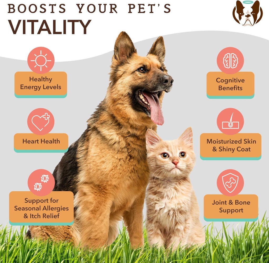 Natural Dog Company Wild Alaskan Salmon Oil & Probiotic Chews for Dogs Bundle: Salmon Oil & Probiotics - Healthy Skin and Coat and Digestive Health Combo for Dogs of All Breeds and Sizes 5