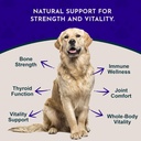 animal-essentials-ocean-kelp-for-dogs-ca-2.jpg