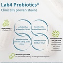Igennus Probiotics & Prebiotic, Lactobacillus Acidophilus & Bifidobacterium, Live Cultures+ Lab4, Guaranteed 25 Billion CFU, for Women & Men, Non-Bloating Gut Health Support, Non-GMO, 6 x 30 Capsules 4