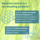 Igennus Probiotics & Prebiotic, Lactobacillus Acidophilus & Bifidobacterium, Live Cultures+ Lab4, Guaranteed 25 Billion CFU, for Women & Men, Non-Bloating Gut Health Support, Non-GMO, 6 x 30 Capsules 5