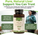Lignans for Life Milk Thistle Seed Extract Herbal Supplement for Dogs, 100mg - 60 Vegetarian Capsules, Canine Liver Health 3