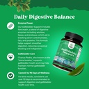 Ox Bile Salts for Gallbladder Support - Purified Bile Salts Supplement with Pancreatin Digestive Enzymes Ox & Betaine HCL - Supplements for No Gallbladder & Digestive Health 20 Days 4
