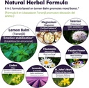 Lemon Balm Mood Boost Drops, Gotas de Citrato de Magnesio, Toronjil y Valeriana para Dormir y Ansiedad, Natural Calm, Cortisol Balance, Promotes Relaxation w/Magnesium Extract Liquid.2oz 4
